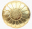 Gold Pouf Leather